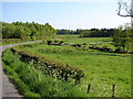 Blackcleugh, Gair