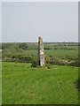 The Blind Fiddler standing stone