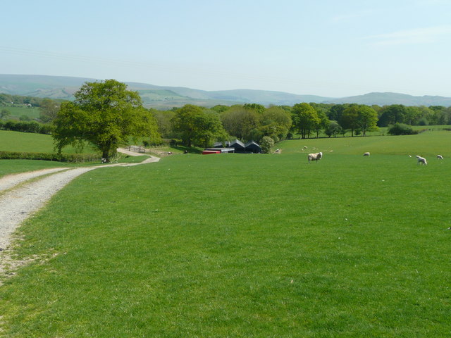 Mid-Wales pasture land © Jonathan Billinger :: Geograph Britain and Ireland