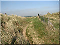 Path through the dunes