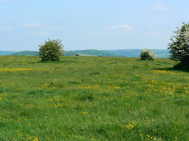 Rodborough Common, near Stroud © Brian Robert Marshall :: Geograph ...