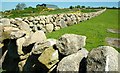 Drystone walls near Hilltown