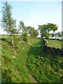 Bridleway near Fox Stones, Barkisland