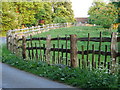 Boundary Fence at Charlecote Park