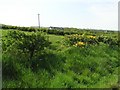 Knocknogher Townland