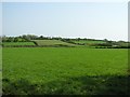 Near Ballystrone Hill