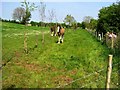 Clintagh Townland