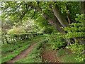 Loy Lane at Gother Hill