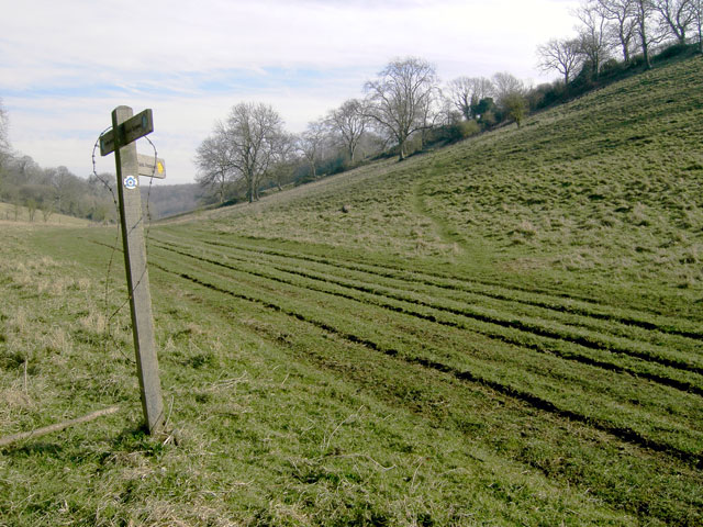 A junction of paths near Warningcamp Hill, Sussex