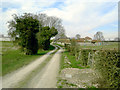 Track and farm at Upper Barpham