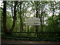 School Lane Wood, Bold Heath