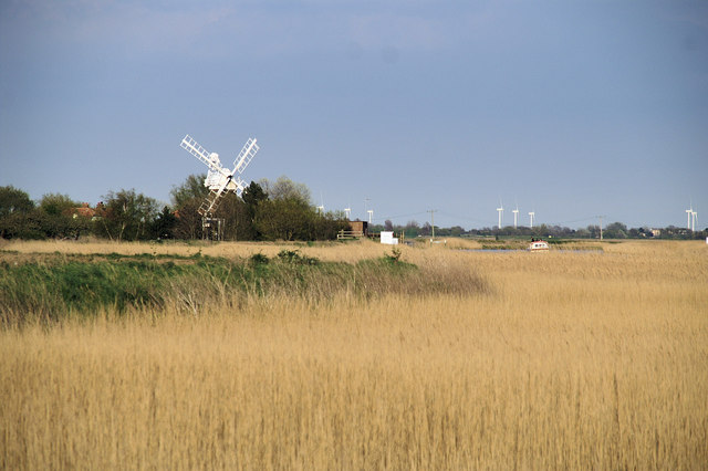 Reed beds above Mautby Marsh Mill