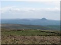 D1713 : Sheep and moorland with Slemish behind by Philip