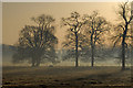 Parkland near Grainsby