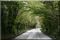 SN0902 : Road to Trefalun Caravan Park Tenby by Jo and Steve Turner