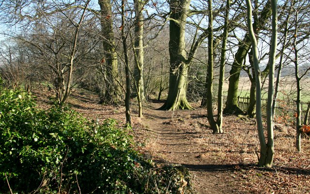 Footpath in the Hardwick Estate © Alan Walker cc-by-sa/2.0 :: Geograph ...