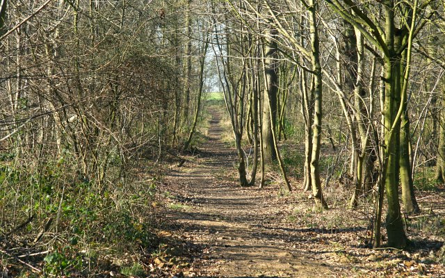 Footpath in the Hardwick Estate © Alan Walker :: Geograph Britain and ...