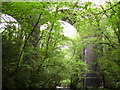 Gwaun-Cae-Gurwen viaducts