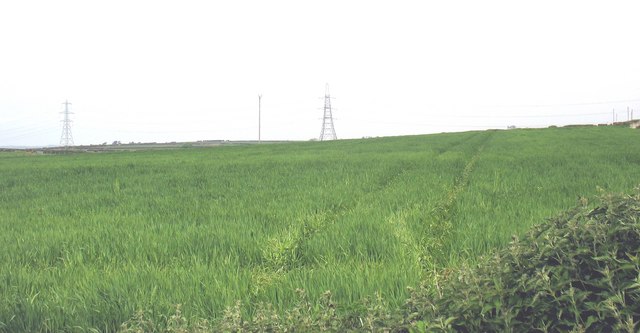 View north towards the pylons across cultivated grassland