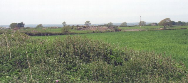 View across cultivated grassland towards an area of rock outcrops and scrub