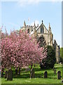 Blossom in the churchyard