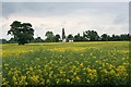 Rape Field