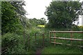 Kissing gate near Hanley Castle