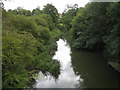 River Mole at Deepdene Bridge (1)