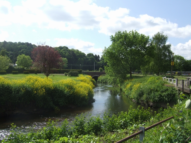 River Stour downstream at Wolverley