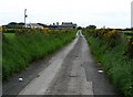 Bush Road near Ballyhalbert