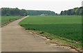 The south eastern edge of Saltby Airfield