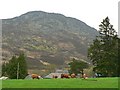 Highland cattle at Glenfernate Lodge