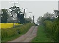 Track to Herring Gorse