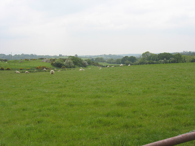 View south over grazing land from near the entrance to Bridin Farm