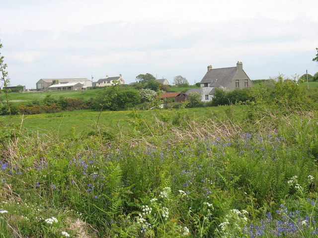 Bridin Newydd and Bryn Coch Farm