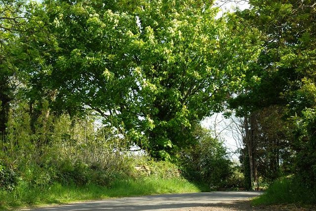 The Cunningburn Road near Newtownards