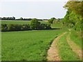 SU5541 : Farmland and track, East Stratton by Andrew Smith