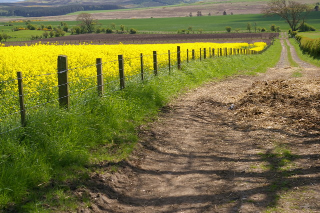 Path & Farmland near Barmoor Ridge