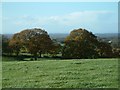 Farmland near the Ash