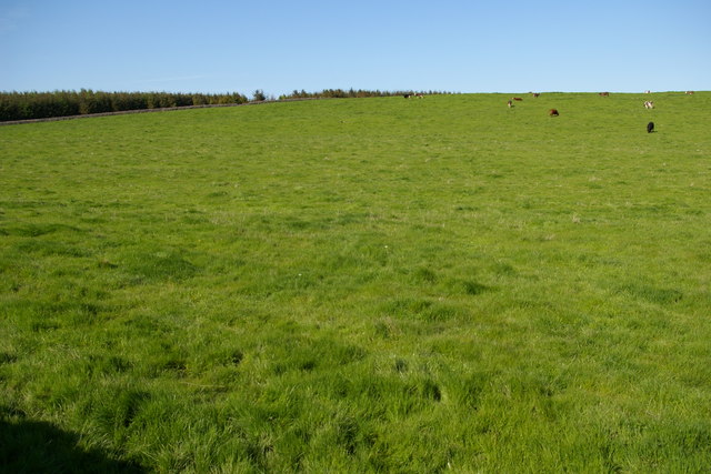 Farmland, Belford Moor