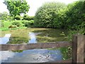 Pond at Frochas Farm