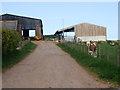 Cow byre at Upper Criggie