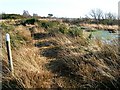 Path around Drumburgh Moss