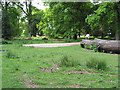 Picnic area near Speech House, Forest of Dean