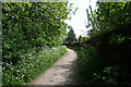 The Nottingham Canal Nature Reserve