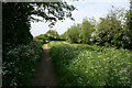 Footpath along the Nottingham Canal