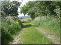 Farm track at Leaton