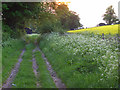 Byway, Clatford Oakcuts