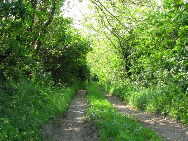 Track Creighton S Green Road Near C Rossographer Cc By Sa 2 0 Geograph Ireland