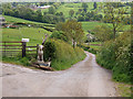 Lane by entrance to Lodge Farm